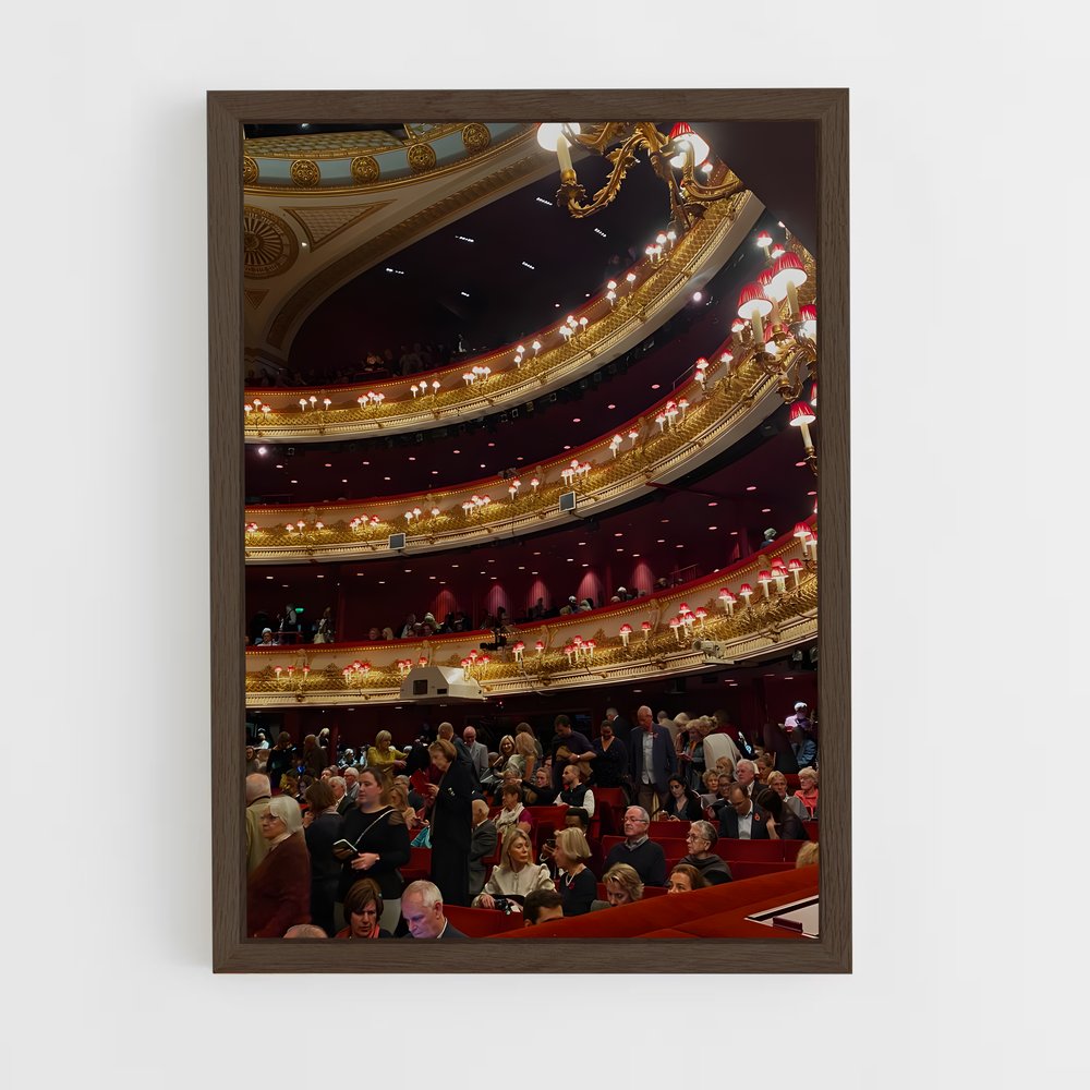 Poster Symphonie Éblouissante – affiche Danse (vue 5)